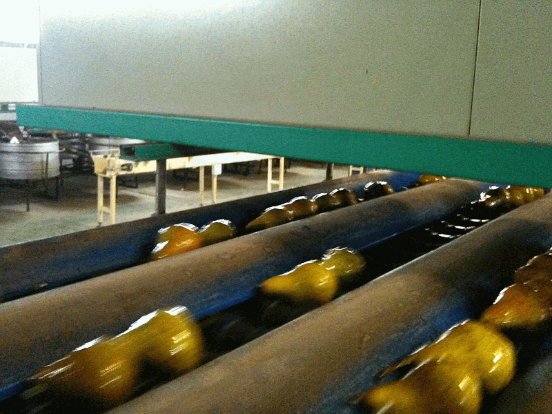 Pears on conveyor